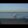 Beach11.jpg